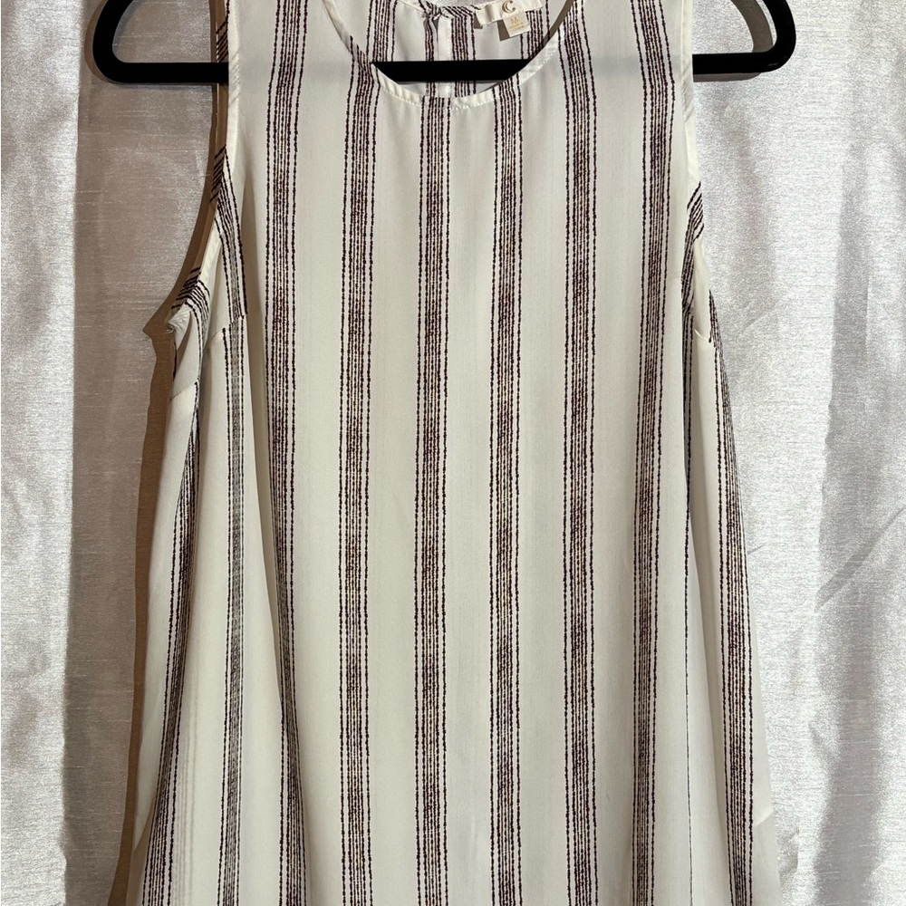 Striped Sleeveless Top - Brown and Cream by Charming Charlie size Medium